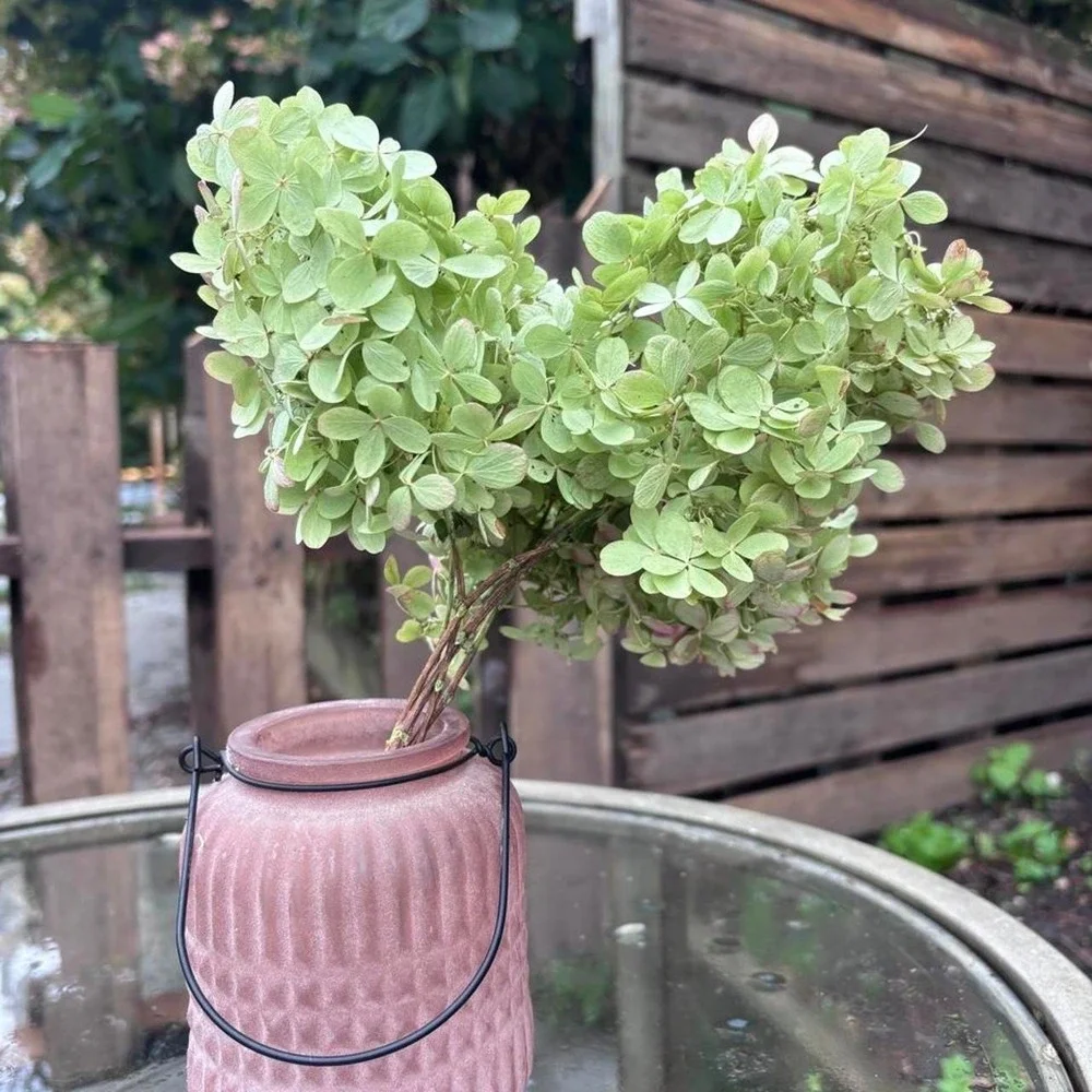 5 Preserved Mini Hydrangea Stems Natural Dried Flower Bouquet Green Pink 7-8